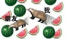 社会热点插画 52每日大瓜视频 吃瓜爆料